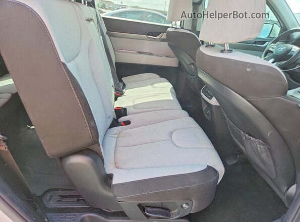 KM8R1DHE9MU202986 2021 HYUNDAI PALISADE White Vista de los asientos traseros