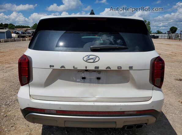 KM8R24GE1PU554544 2023 HYUNDAI PALISADE Белый Вид сзади