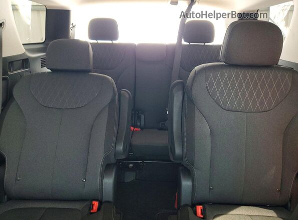 KM8R24HE9LU050896 2020 HYUNDAI PALISADE Black უკანა სავარძლების ხედი