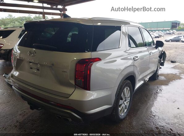 KM8R2DGEXSU890749 2025 HYUNDAI PALISADE Gray Tył prawy