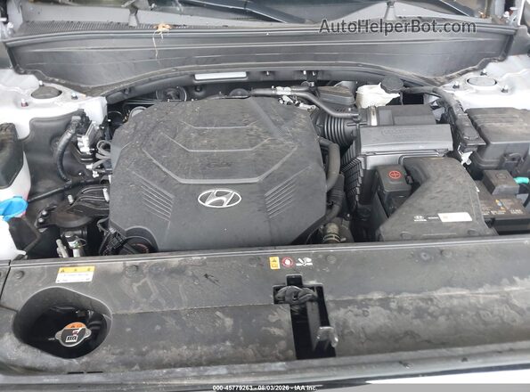 KM8R2DGEXSU890749 2025 HYUNDAI PALISADE Gray Widok z tyłu