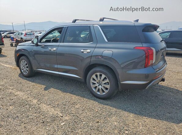 KM8R2DGEXSU935043 2025 HYUNDAI PALISADE Charcoal Tył lewy
