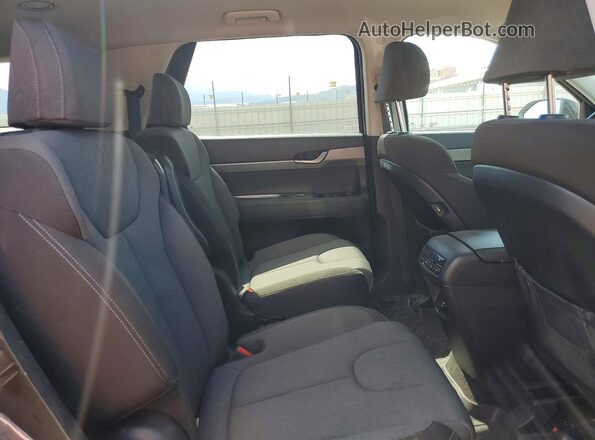 KM8R2DHE8LU141125 2020 HYUNDAI PALISADE Black Սալոնի հետևի տեսք