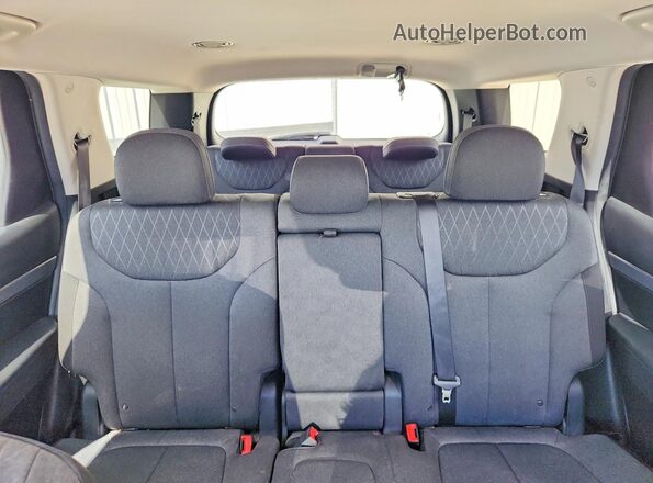 KM8R2DHE8MU318662 2021 HYUNDAI PALISADE Синий Вид задних сидений