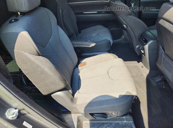 KM8R34HE1LU096185 2020 HYUNDAI PALISADE Серый Вид задней части салона