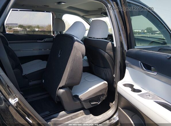 KM8R34HE1LU160239 2020 HYUNDAI PALISADE Black Widok naklejki z numerem VIN