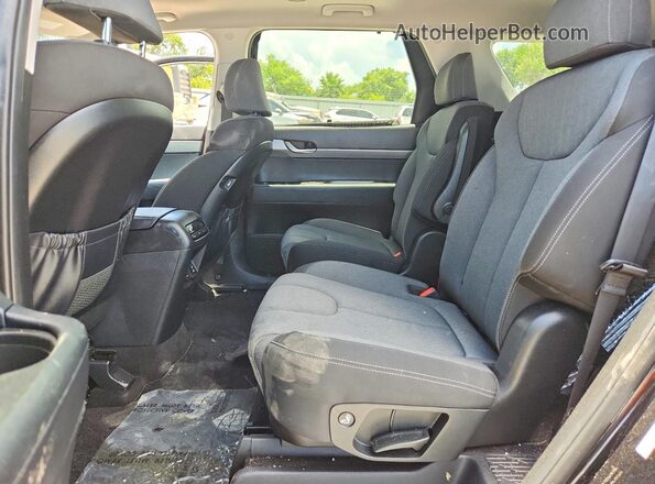 KM8R34HE2LU094025 2020 HYUNDAI PALISADE Черный Вид задних сидений
