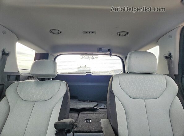 KM8R34HE6LU162312 2020 HYUNDAI PALISADE Белый Вид задних сидений