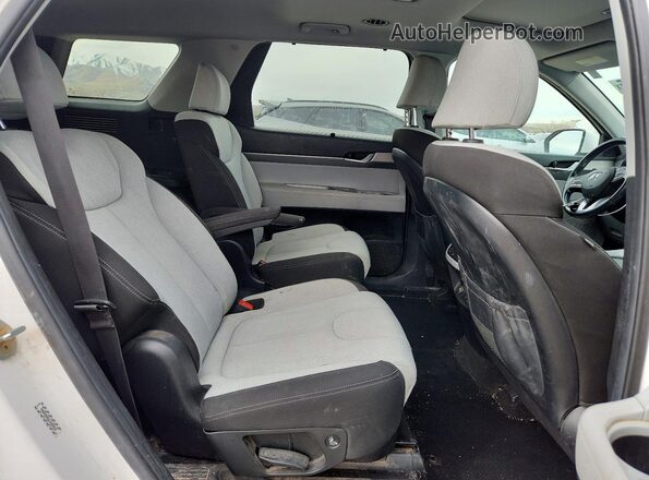 KM8R34HE6LU162312 2020 HYUNDAI PALISADE Белый Вид задней части салона