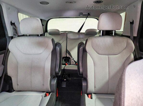 KM8R34HE8LU146225 2020 HYUNDAI PALISADE Blue Rear seats view