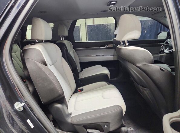 KM8R34HE8LU146225 2020 HYUNDAI PALISADE Blue Rear interior view