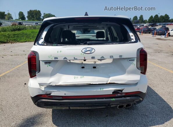 KM8R3DGE2RU680802 2024 HYUNDAI PALISADE White Widok z tyłu