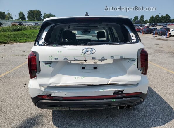 KM8R3DGE2RU680802 2024 HYUNDAI PALISADE White 