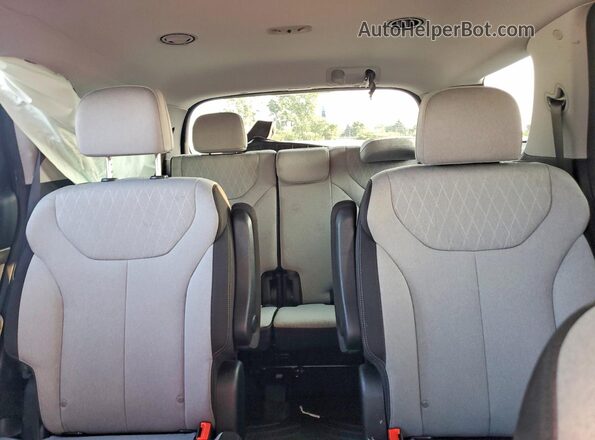 KM8R3DHE3MU268184 2021 HYUNDAI PALISADE Черный Вид задних сидений