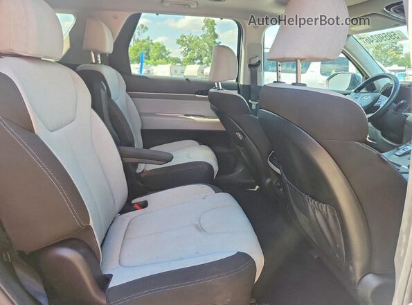 KM8R3DHE4LU133228 2020 HYUNDAI PALISADE Black Vista interior trasera