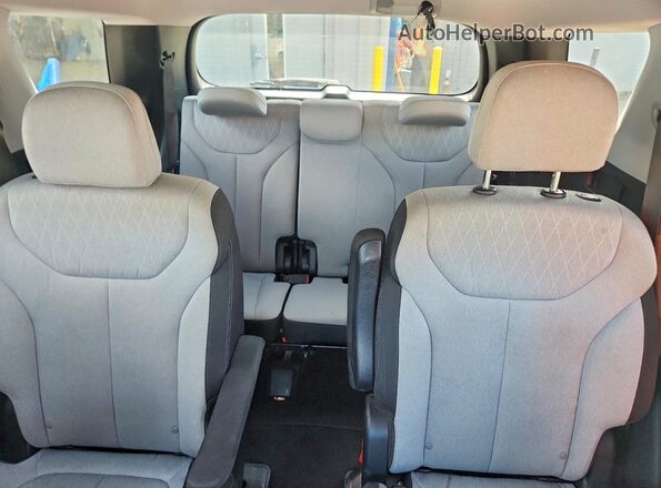 KM8R3DHE4LU133228 2020 HYUNDAI PALISADE Black Vista de los asientos traseros