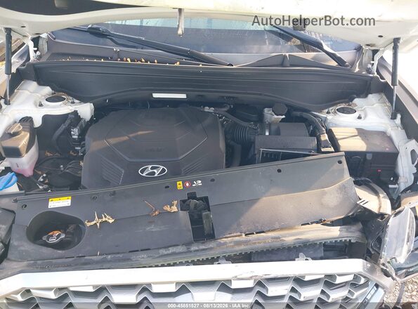KM8R3DHE4MU223609 2021 HYUNDAI PALISADE Белый Вид сзади