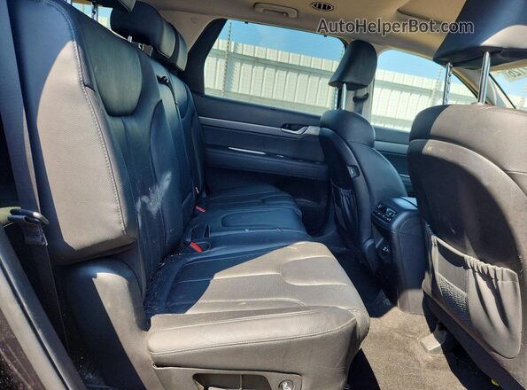 KM8R3DHE5LU043540 2020 HYUNDAI PALISADE Blue Widok wnętrza z tyłu
