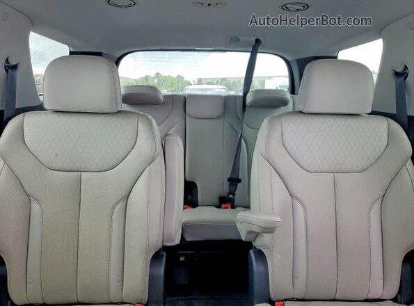 KM8R44HE0LU119873 2020 HYUNDAI PALISADE Gray Vista de los asientos traseros