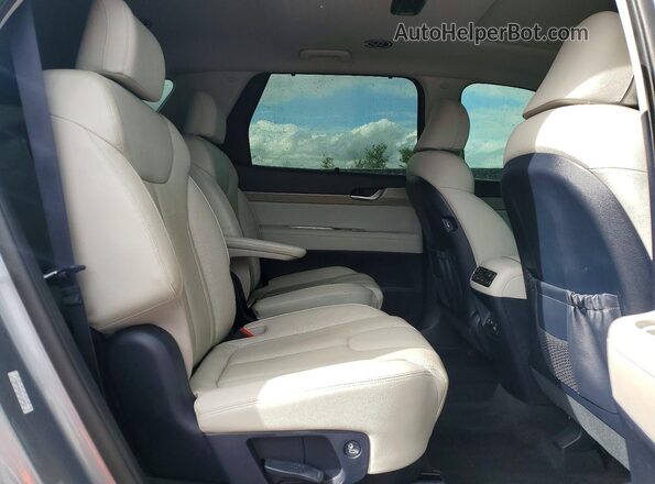 KM8R44HE0LU119873 2020 HYUNDAI PALISADE Gray Vista interior trasera