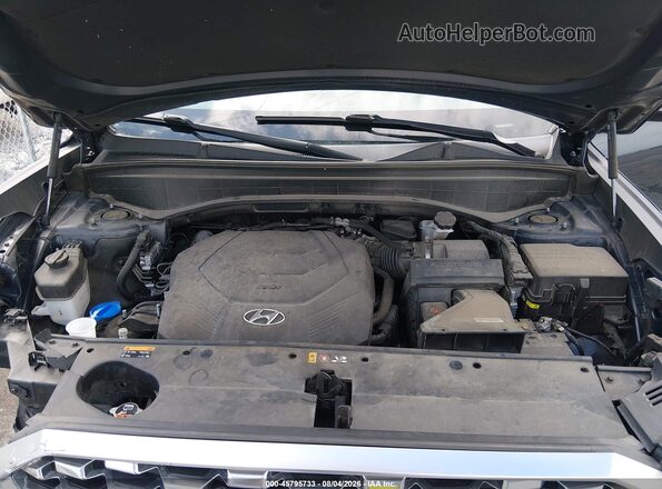 KM8R44HE3LU148087 2020 HYUNDAI PALISADE Black Widok z tyłu