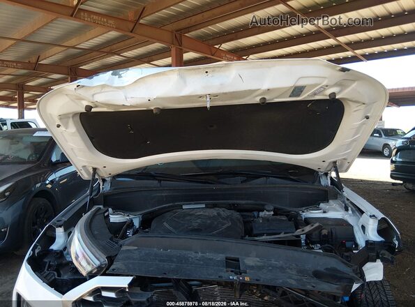 KM8R44HE3NU476743 2022 HYUNDAI PALISADE White Widok z tyłu