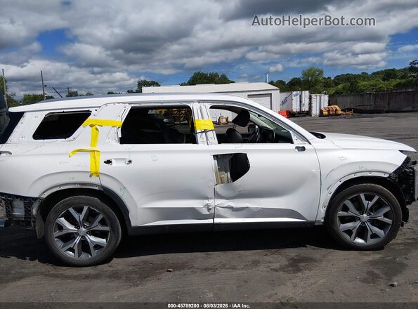 KM8R4DHE0LU079391 2020 HYUNDAI PALISADE White Widok wnętrza z tyłu