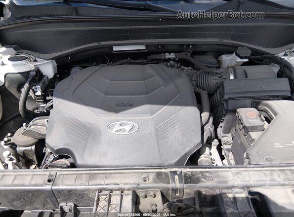 KM8R4DHE0LU079391 2020 HYUNDAI PALISADE White Widok z tyłu