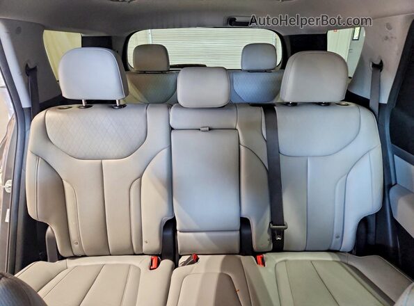 KM8R4DHE0LU169396 2020 HYUNDAI PALISADE Gray უკანა სავარძლების ხედი