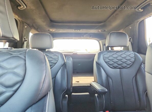 KM8R54HE3LU079074 2020 HYUNDAI PALISADE Blue Vista de los asientos traseros