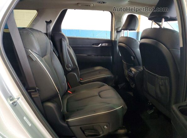 KM8R5DGE6RU746505 2024 HYUNDAI PALISADE Серебряный Вид задней части салона