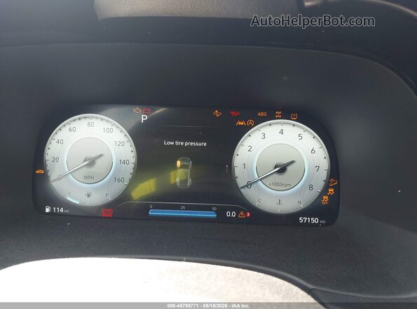 KM8R5DGE9PU489482 2023 HYUNDAI PALISADE Blue უკანა სავარძლების ხედი
