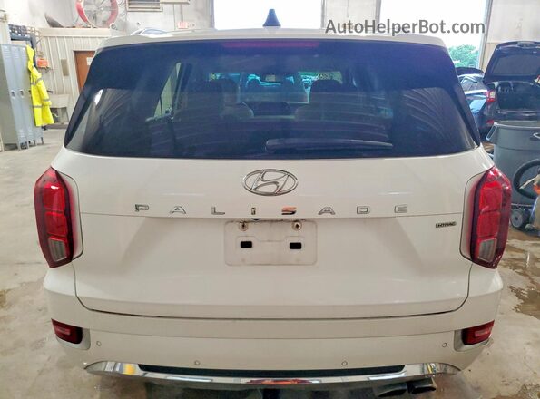 KM8R5DHE0LU084927 2020 HYUNDAI PALISADE Белый Вид сзади