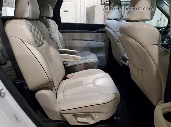 KM8R5DHE0LU084927 2020 HYUNDAI PALISADE Белый Вид задней части салона