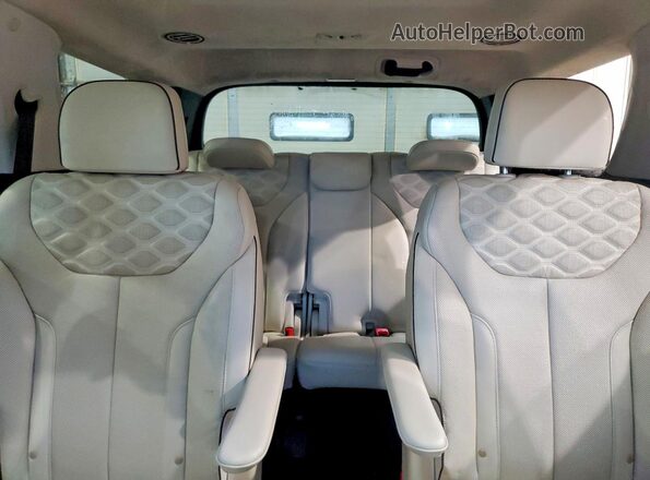 KM8R5DHE0LU084927 2020 HYUNDAI PALISADE Белый Вид задних сидений