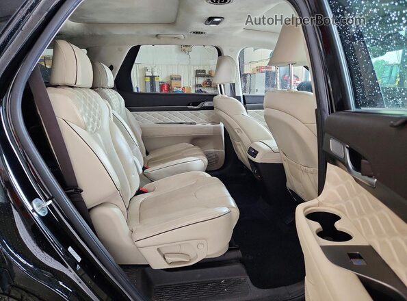 KM8R5DHE0LU127971 2020 HYUNDAI PALISADE Black Vista interior trasera