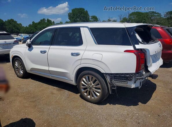 KM8R5DHE3LU151469 2020 HYUNDAI PALISADE White Rear left