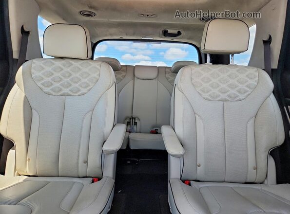 KM8R5DHE4LU084414 2020 HYUNDAI PALISADE Burgundy Widok tylnych siedzeń