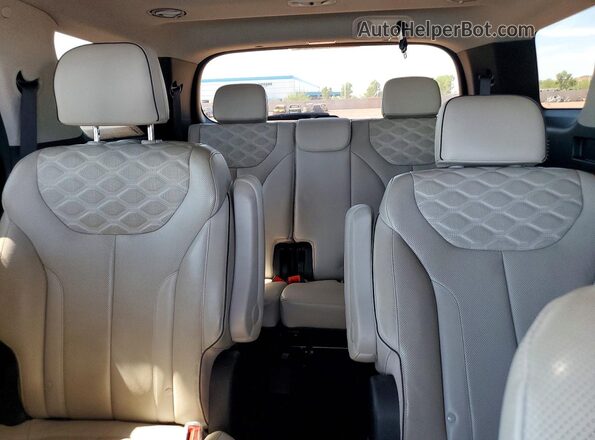 KM8R5DHE4MU316396 2021 HYUNDAI PALISADE White Вид задніх сидінь