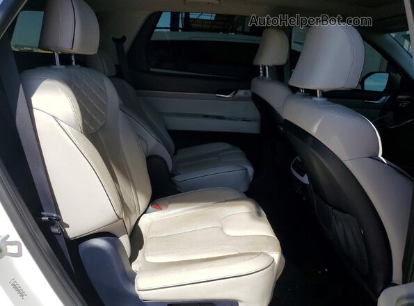 KM8R5DHE4MU316396 2021 HYUNDAI PALISADE White Вид задньої частини салону