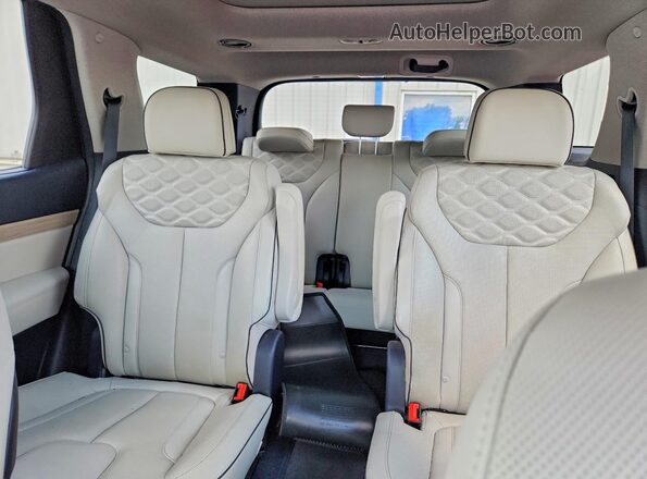 KM8R5DHE4NU369827 2022 HYUNDAI PALISADE Maroon Vista de los asientos traseros