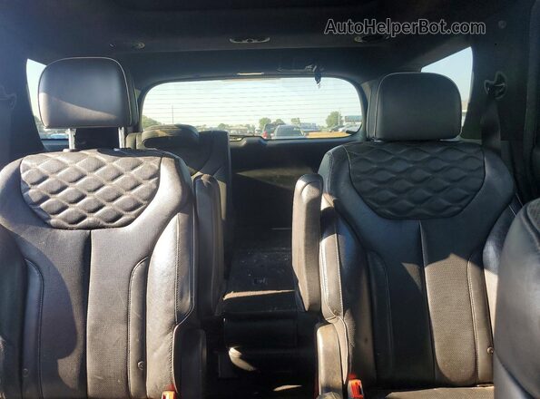 KM8R5DHE5LU080484 2020 HYUNDAI PALISADE Blue Вид задніх сидінь
