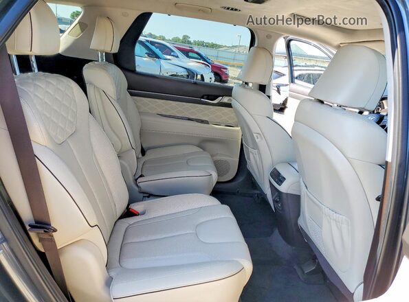 KM8R5DHE6LU038602 2020 HYUNDAI PALISADE Charcoal Rear interior view