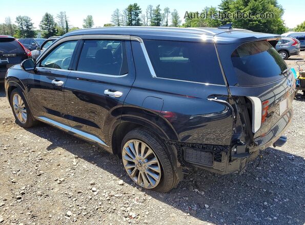 KM8R5DHE6LU108213 2020 HYUNDAI PALISADE Black Հետևի ձախ