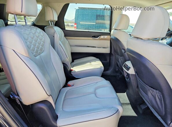KM8R5DHE6MU269727 2021 HYUNDAI PALISADE Charcoal Vista interior trasera