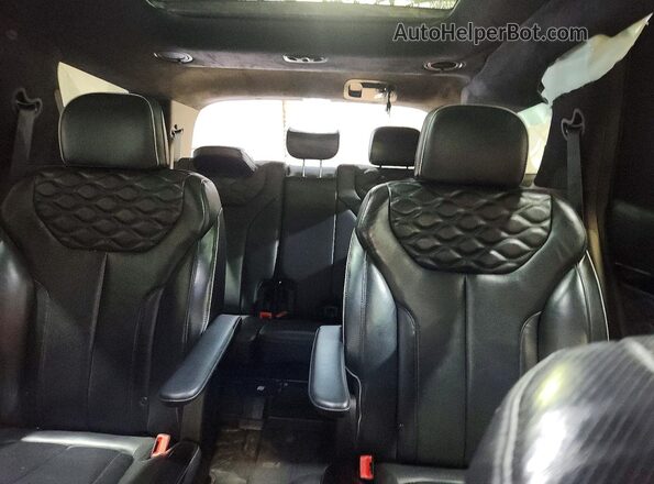 KM8R5DHE9LU160841 2020 HYUNDAI PALISADE Burgundy Rear seats view