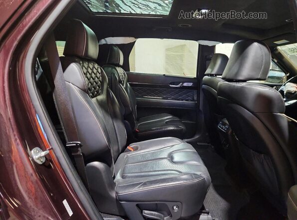KM8R5DHE9LU160841 2020 HYUNDAI PALISADE Burgundy Rear interior view