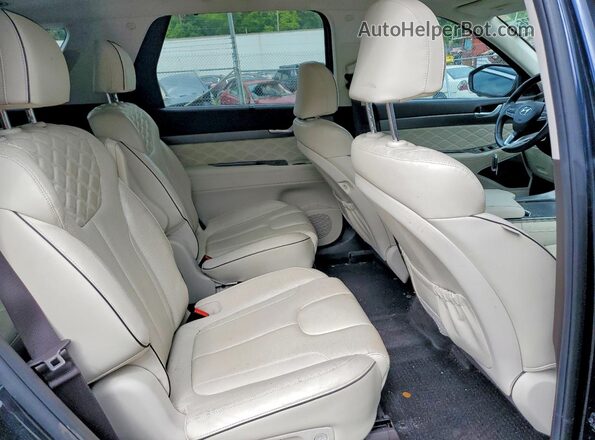 KM8R5DHEXLU070100 2020 HYUNDAI PALISADE Blue Вид задньої частини салону