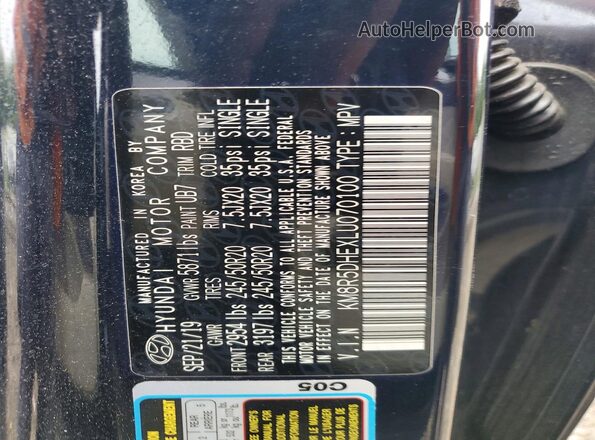 KM8R5DHEXLU070100 2020 HYUNDAI PALISADE Blue Вид наклейки з VIN-кодом