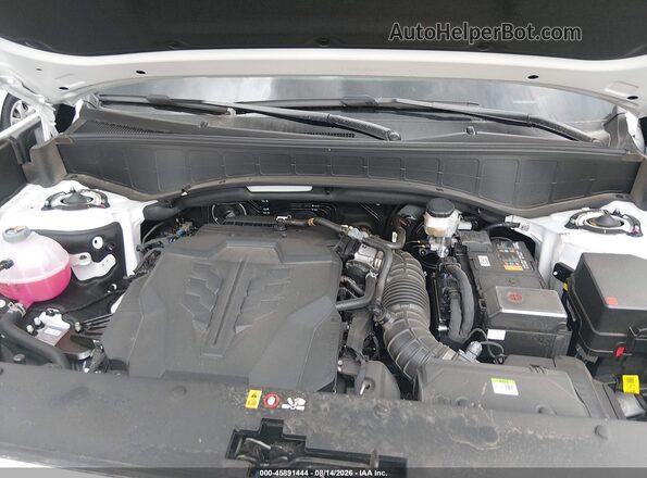 KM8RL5S20TU121789 2026 HYUNDAI PALISADE Белый Вид сзади